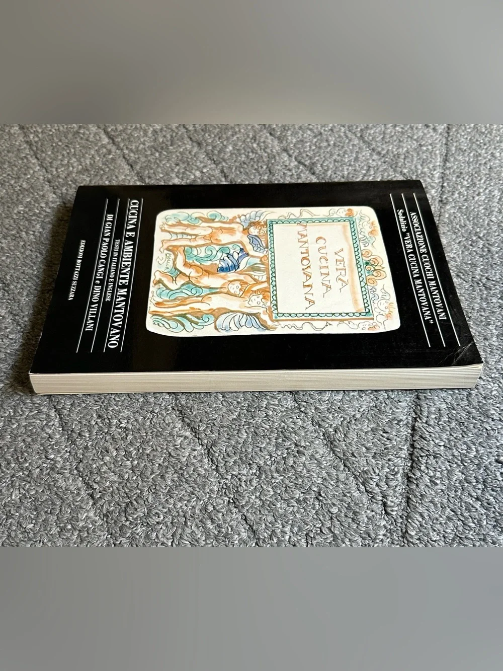 Vera Cucina Mantovana Ambiente Cookbook Recipes ITALIAN & ENGLISH Cangi Villani